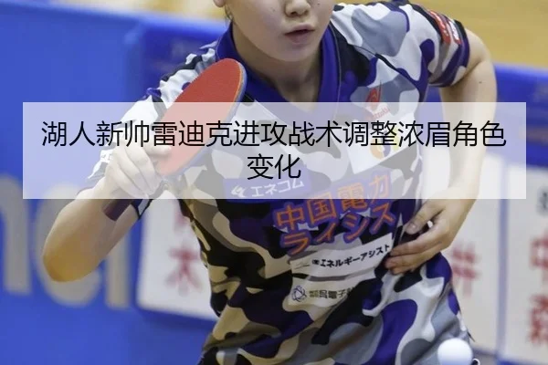 湖人新帅雷迪克进攻战术调整浓眉角色变化