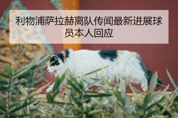 利物浦萨拉赫离队传闻最新进展球员本人回应